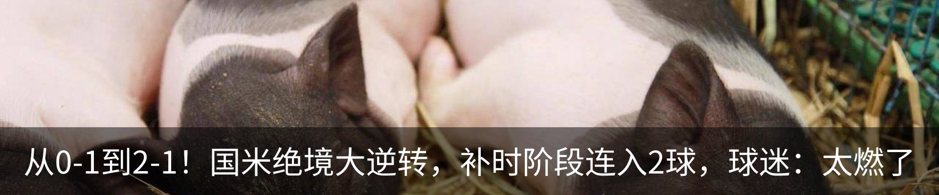 内页banner