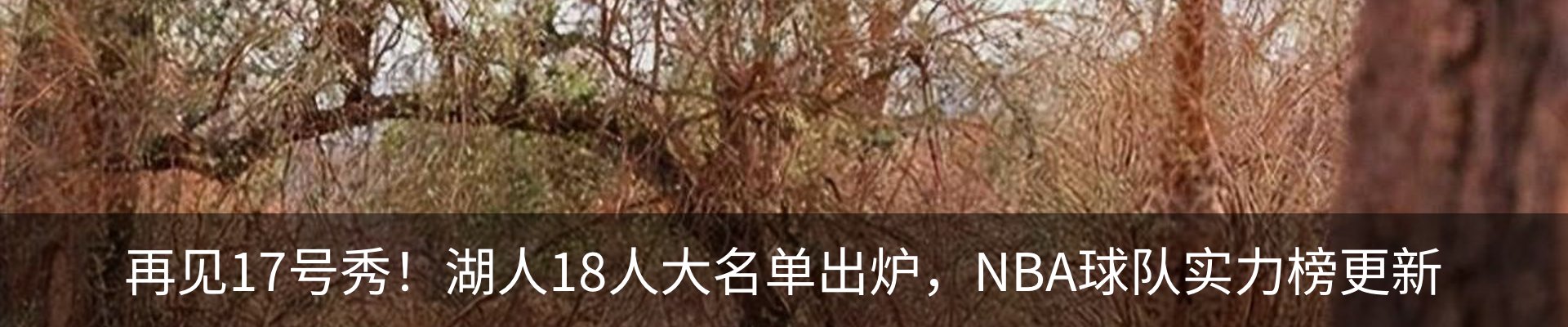 内页banner