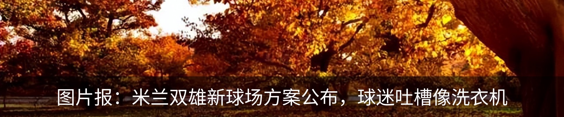 内页banner