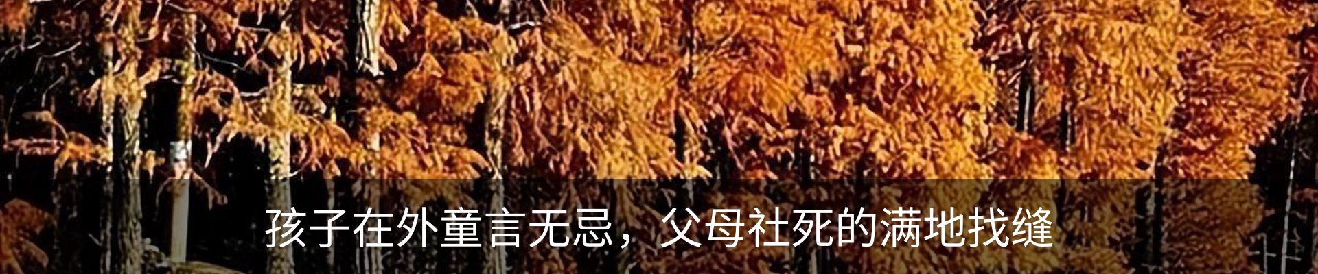 内页banner