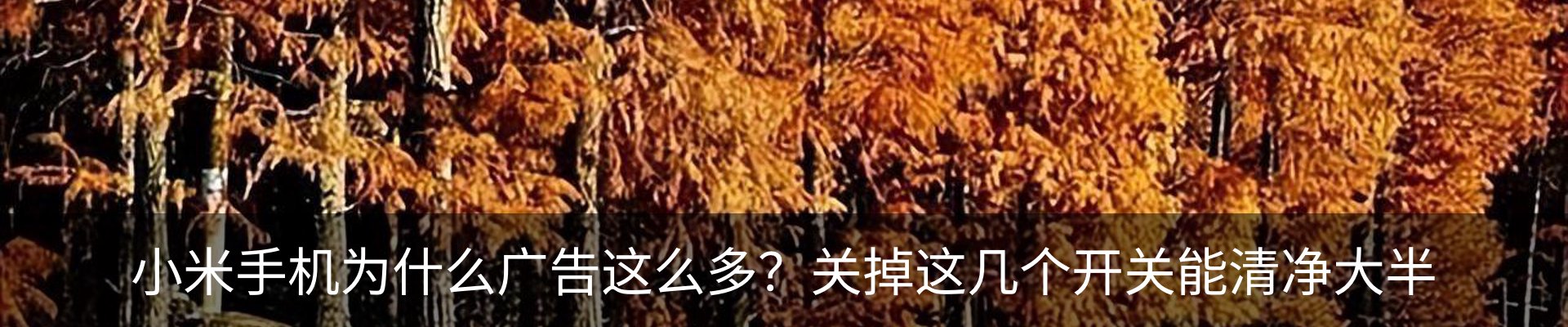 内页banner