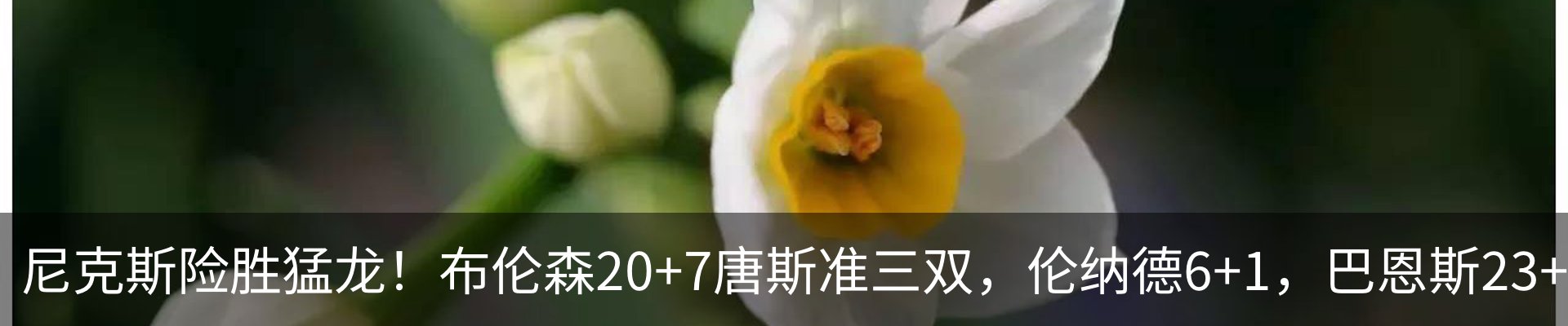 内页banner