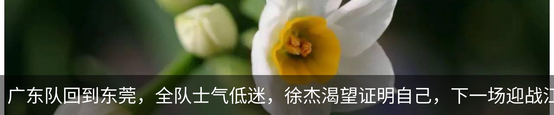 内页banner
