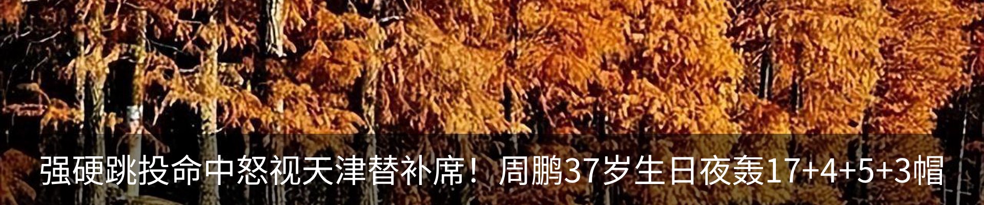 内页banner