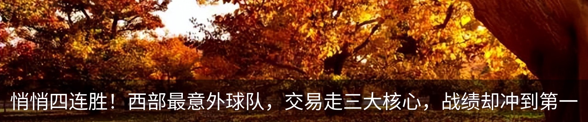 内页banner