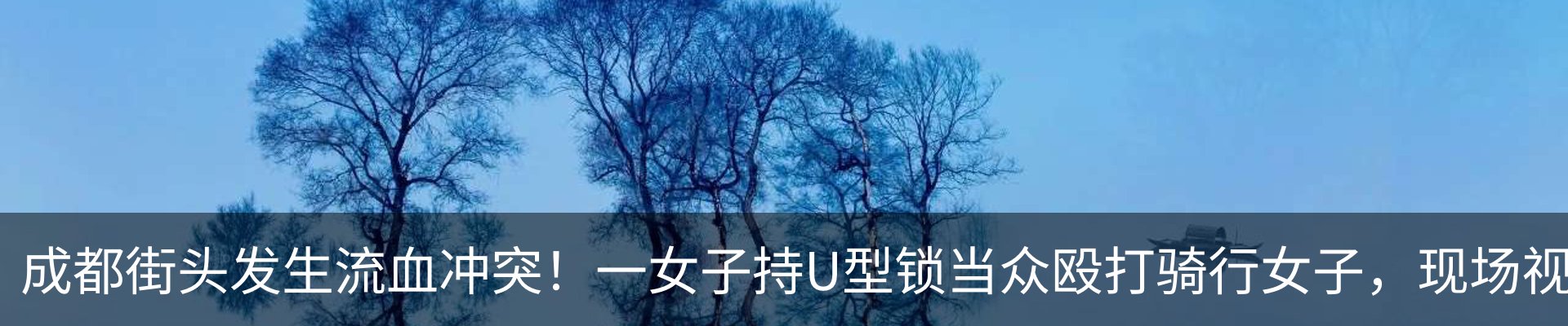 内页banner
