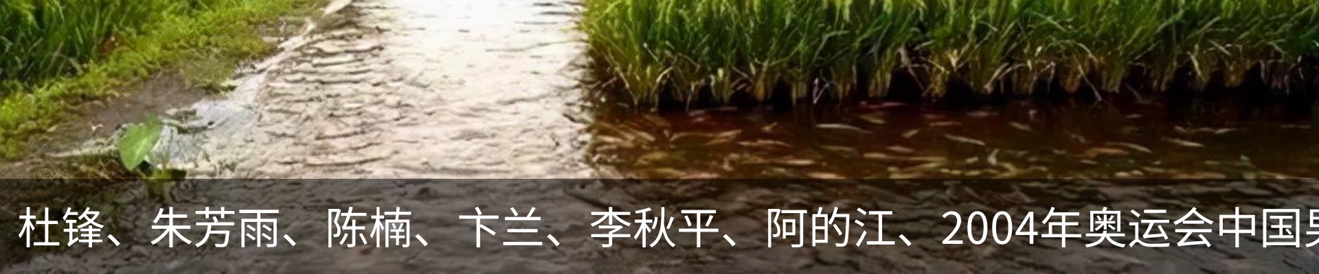 内页banner
