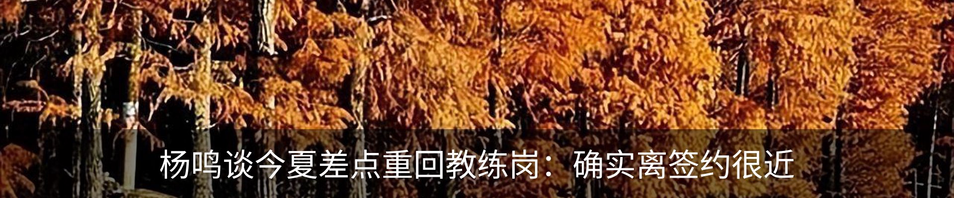 内页banner
