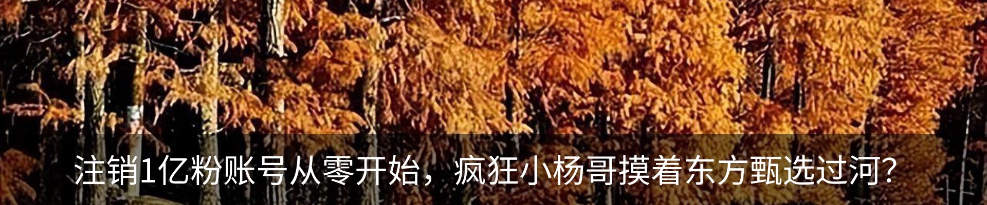 内页banner