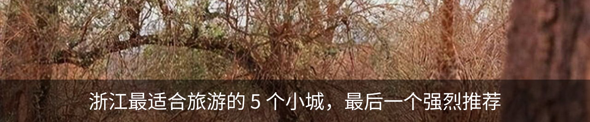 内页banner