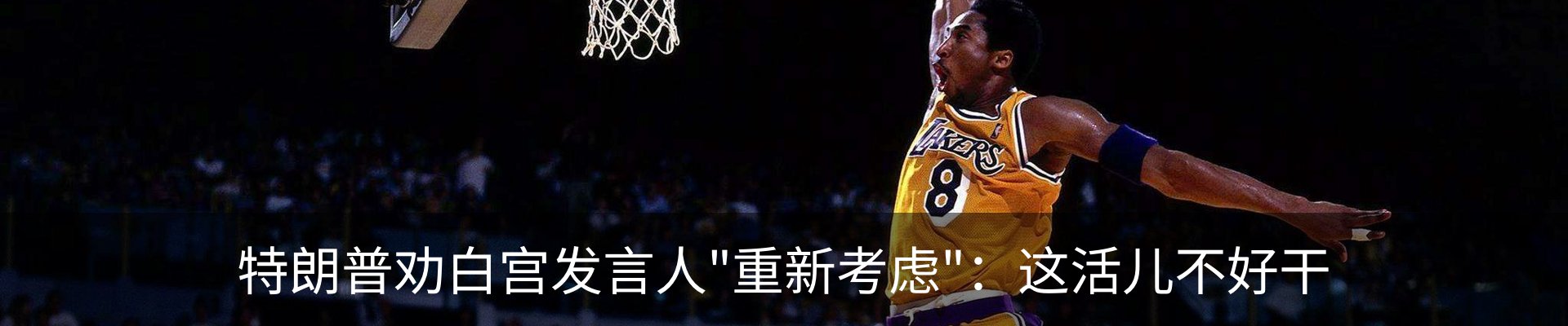 内页banner