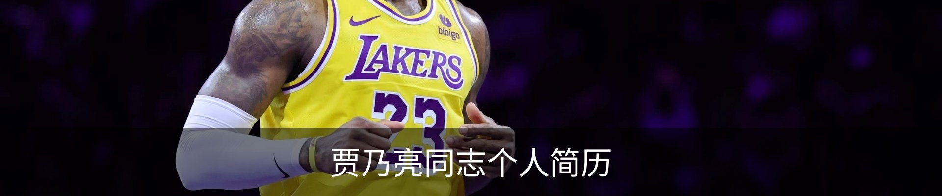 内页banner