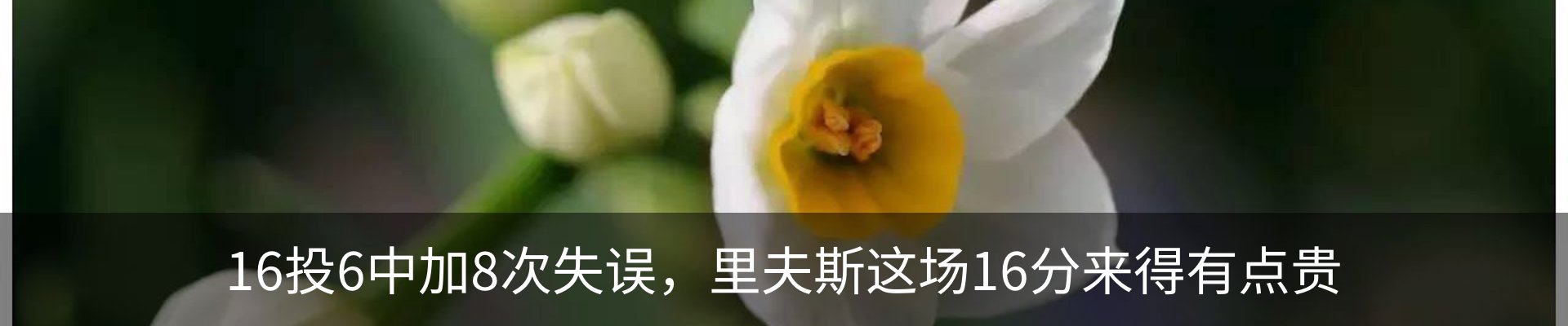 内页banner