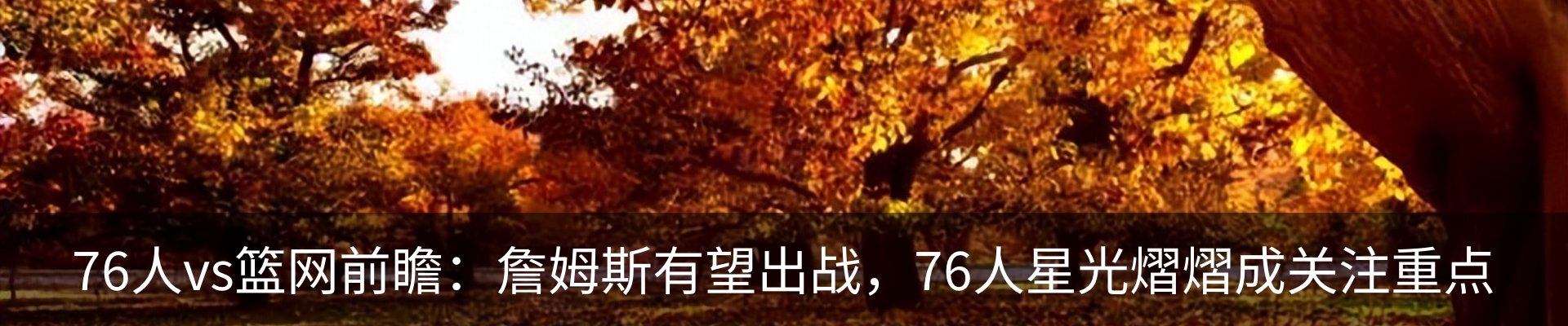 内页banner